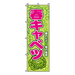 春キャベツ