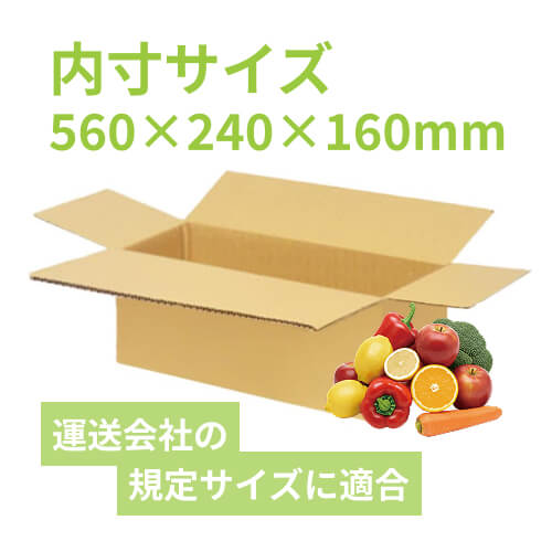 野菜セット用】宅配100サイズ・ダンボール箱（560×240×160mm