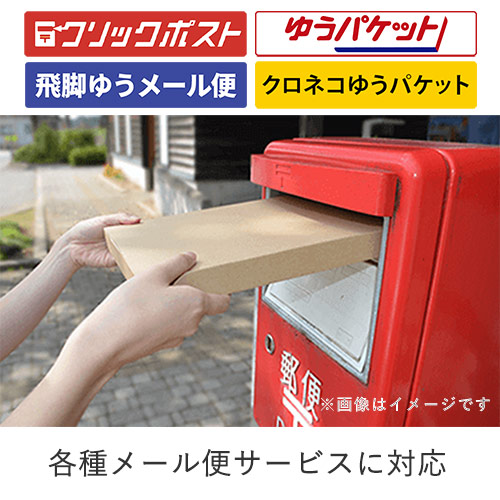 クリックポスト・ゆうパケット最小】厚さ3cm・N式ケース | ダンボール