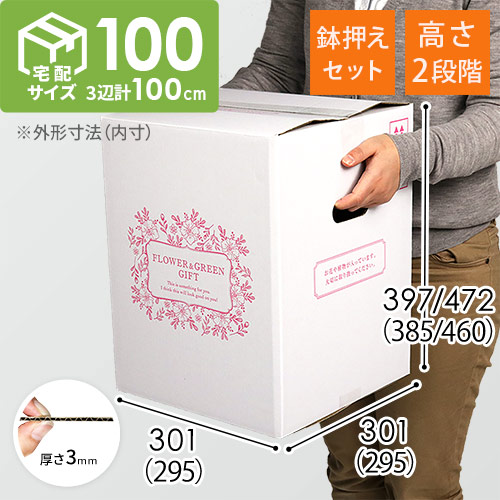 フラワーギフト 発送BOX（鉢押えセット）【宅配100サイズ