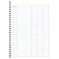 ＬＢＰ対応　単票バインダー元帳　Ａ４　１０００枚入