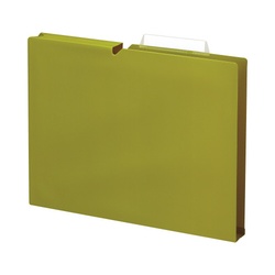 【廃番商品】個別フォルダー＜ＮＥＯＳ＞Ａ４　３０ｍｍ　緑