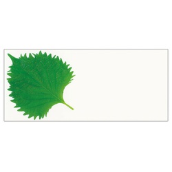 ユニバース フィルムシート グルメシート ハイ大葉 A 70×160