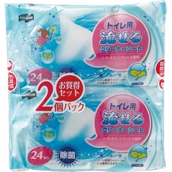 Ｃ．トイレ用流せるクリーナーシート　２４枚入×２