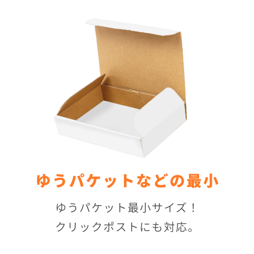 クリックポスト最小・ゆうパケット】厚さ3cm・N式ケース（白