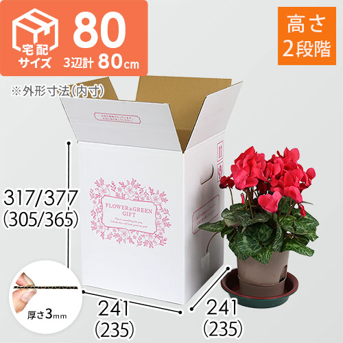 宅配80サイズ】フラワーギフトBOX（外箱のみ） | ダンボール・梱包資材 