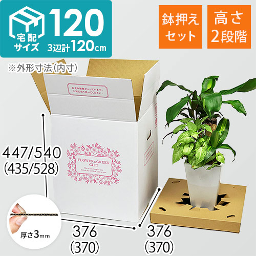 商品（外寸）