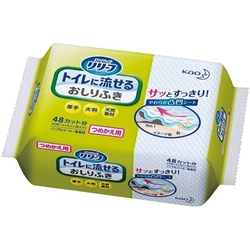 リリーフ　トイレに流せるおしりふき詰替２４枚×２４
