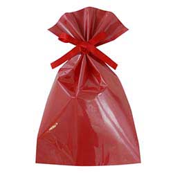 【廃番商品】ソフトバッグクリア 2穴リボン巾着 S5 ローズレッド