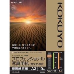 プロフェッショナル写真用紙　高光沢厚手Ａ３　１０枚