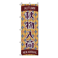 秋物入荷  
