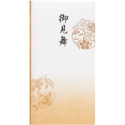 抗菌和紙祝儀　多当　御見舞