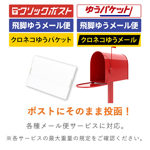 クリックポスト・クロネコゆうパケット】厚さ1cm・N式ケース