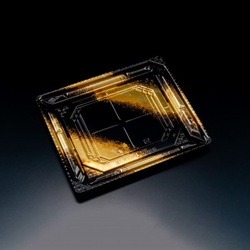 リスパック 刺身容器 バイオPS 美枠 20-17B しょうえい金 本体