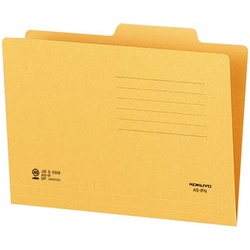 個別フォルダー　Ａ５−ＩＦＮ　１０枚