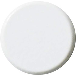両面強力カラーマグネット　１８ｍｍ　白　１０個入