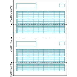 給与明細書　Ａ４タテ２面　５００枚