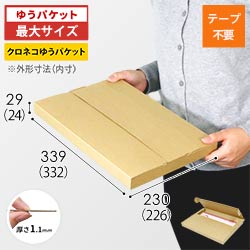 【ネコポス・クリックポスト・ゆうパケット】厚さ3cm・テープレスケース(しっかりタイプ)