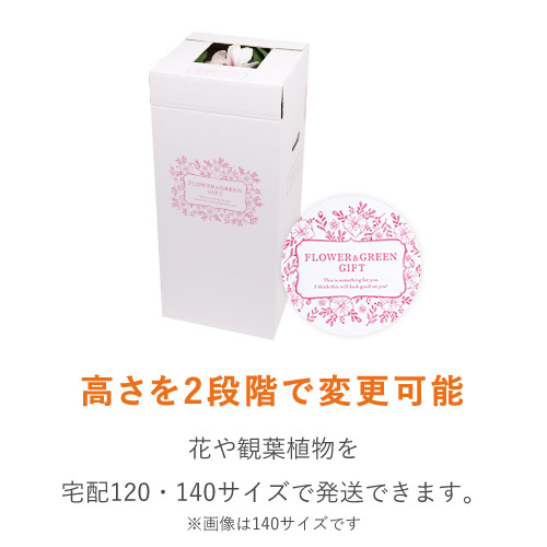 特徴1