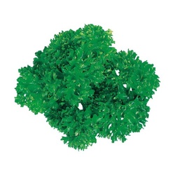 ユニバース フィルムシート グルメシート パセリ 丸