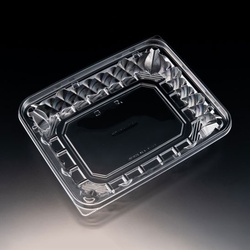 リスパック サラダ容器 バイオ アソートケース 24-20B(38) 本体