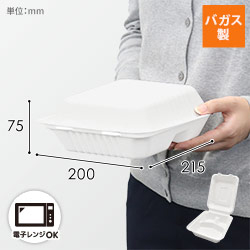 パックスタイル 弁当容器 新ABランチ200-220-3