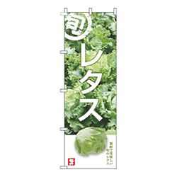 レタス旬写真