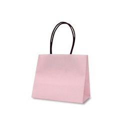紙手提袋 1468 手提袋 テミニン ベビーピンク 10枚パック ベルベ