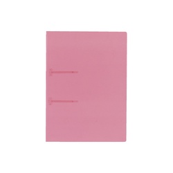 ファスナーファイルクリヤーカラーＡ４縦２穴　Ｐ