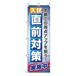 入試直前対策青