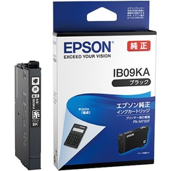 純正インクカートリッジ　ＩＢ０９ＫＡ　ブラック