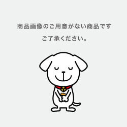 純正　通帳部クリーニングカード　０６３３１２０