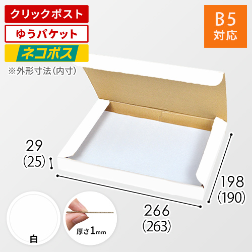 ネコポス・クリックポスト・ゆうパケット】厚さ3cm・N式ケース（白・B5