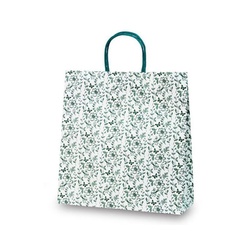 紙手提袋 1660 紙手提袋 T-6 ボタリカ ベルベ