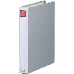 キングＦＳＤＤＥ灰Ａ４縦背幅４６ｍｍ１０−２９冊