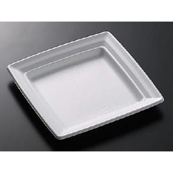 中央化学 軽食容器 CT 沙楽 K20-20 W 本体