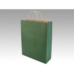 紙手提袋 手提袋 Z エメラルド パックタケヤマ