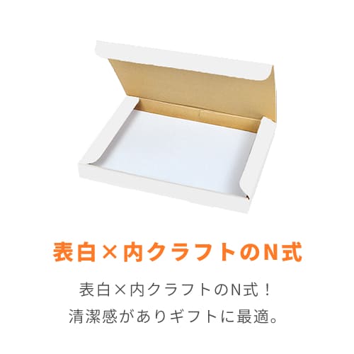ネコポス・クリックポスト・ゆうパケット】厚さ3cm・N式ケース（白・B5