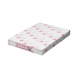 ピンクリボンＰＰＣ　Ａ３　１冊（５００枚）