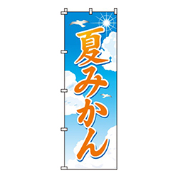 夏みかん太陽・鳥
