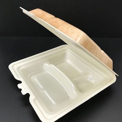 JSPパッケージング 弁当容器 テイクアウトボックス24-24CB