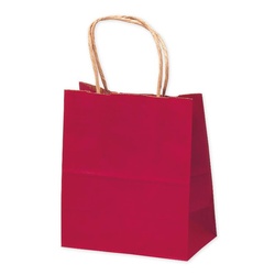 持ち帰り用紙袋 50-5910 手提げ袋 赤 180×100×210 25P ササガワ