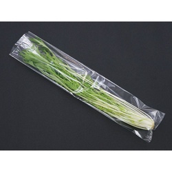 ベルグリーンワイズ 平袋(青果) FG20＃100×450 穴無 P入